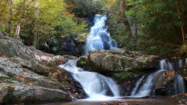 Fall in the Smokies